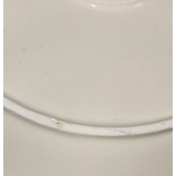 11" Pioneer Woman Christmas Plate - Picture 6 of 6